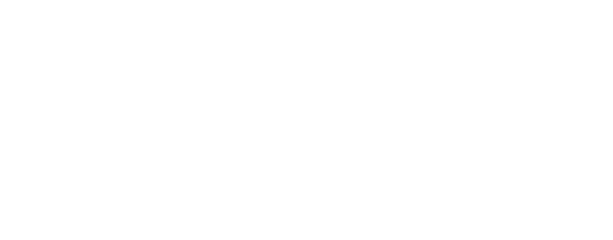 VIZ Logo